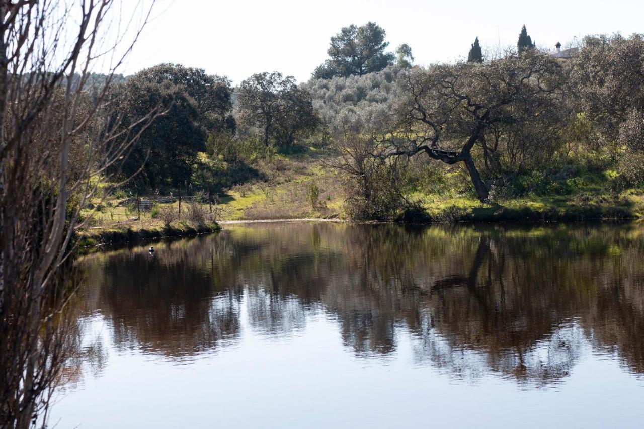 拉普埃夫拉德洛辛凡特斯Casa Cortijo En Dehesa Sierra Leon别墅 外观 照片