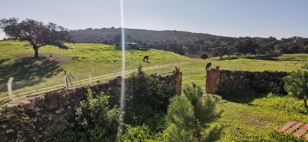 拉普埃夫拉德洛辛凡特斯Casa Cortijo En Dehesa Sierra Leon别墅 外观 照片